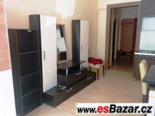 Krásný byt , 1+KK, OV, 23m2, Praha , Žižkov - Vinohrady – fotografie 3