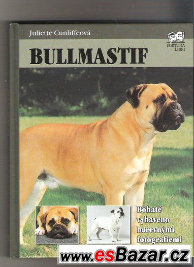 Kniha Bullmastif        cena 89 kč – fotografie 1