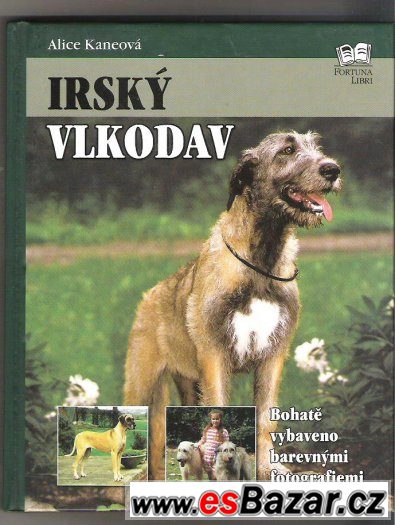 Kniha Irský Vlkodav       cena 89 kč – fotografie 1