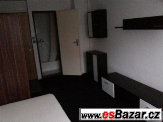 Dlouhodobé ubytování Praha 3 Jarov – fotografie 2
