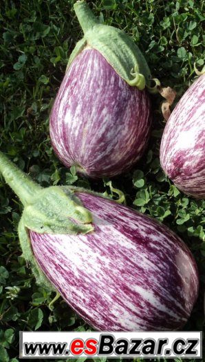 Semena jedlých exotických rostlin – fotografie 3
