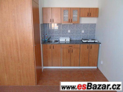 Pronajmu kompletně vybavený 1+kk,Olomouc,bez kauce,INT,SAT – fotografie 4