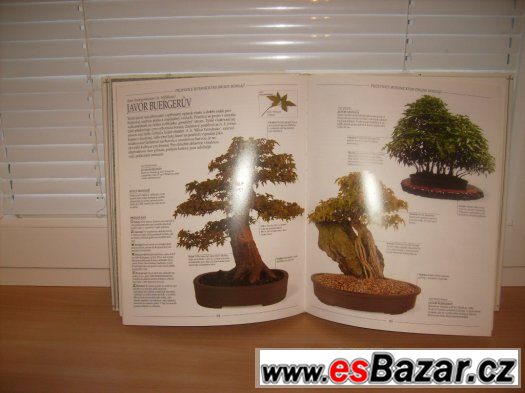 Prodám knihu o bonsai – fotografie 2