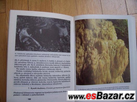 Co víme o houbách – fotografie 3