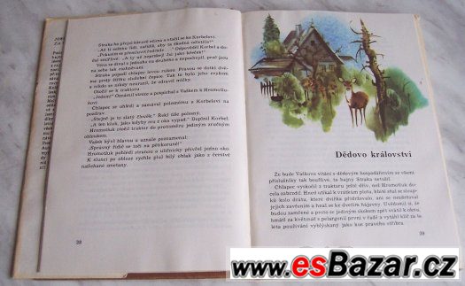 Za trnkovým keřem – fotografie 2