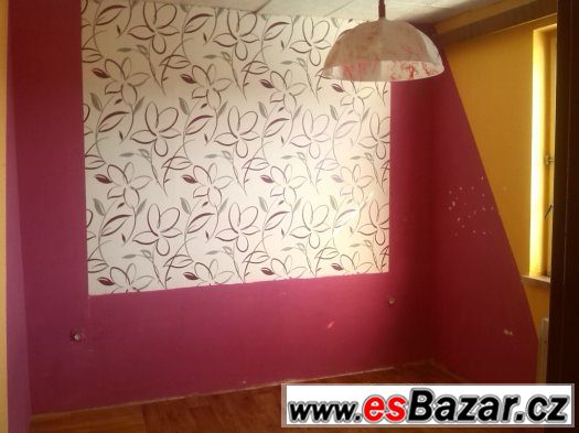 Samostatný byt v RD v Boršicích 2+kk, vana velký balkon ... – fotografie 2