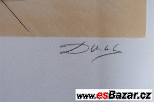 Barevný tisk – fotografie 2