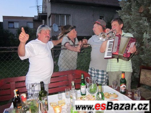 harmonikář akordeon harmonika zábava – fotografie 2