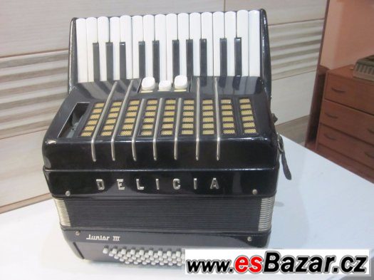 Delicia Junior III akordeon harmonika – fotografie 2