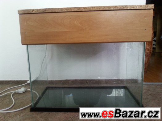 terarium – fotografie 2