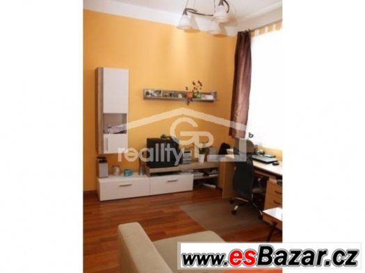 ZLEVNĚNO - Prodej 1+1 v OV, ul. K. V. Raise, ČB – fotografie 4
