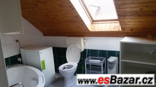 APARTMÁN v RD 1+1 s balkonem-okolí HK-super cena-bez kauce – fotografie 4