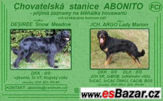Hovawart - chovatelská stanice Abonito (FCI) – fotografie 3