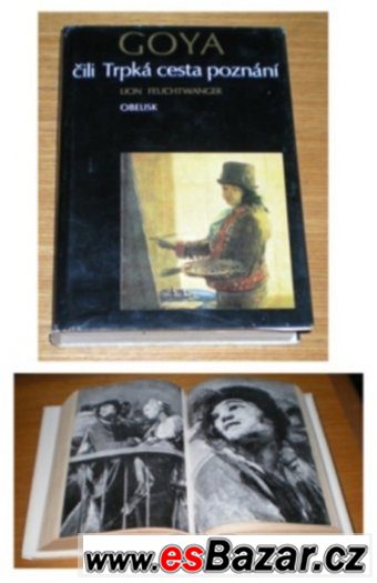 Goya - Lion Feuchtwanger – fotografie 1