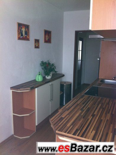 Prodej dr bytu REKONSTRUKCE 3+1+L v Hostomicích u Teplic – fotografie 2