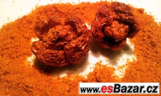 Trinidad Scorpion Moruga - sušené chilli – fotografie 1