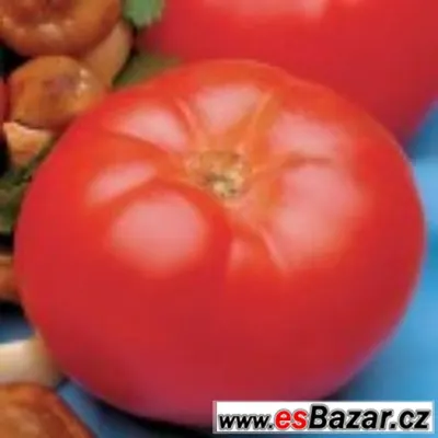 Rajče Beefmaster VFN - semena