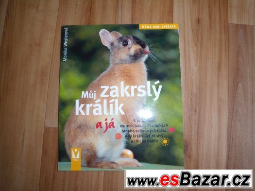 Můj zakrslý králík – fotografie 1