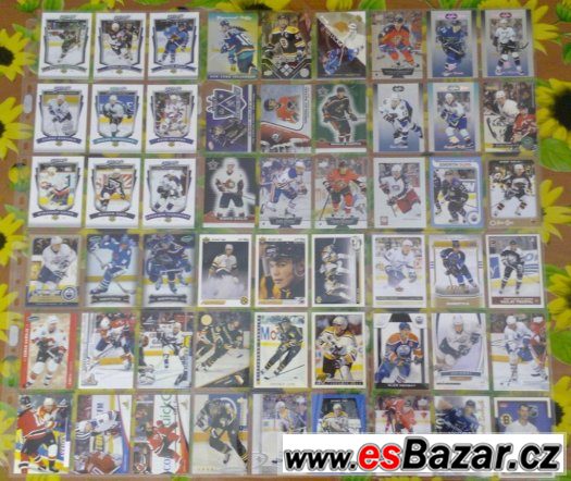 ČEŠI A SLOVÁCI V NHL. – fotografie 1