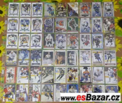 ČEŠI A SLOVÁCI V NHL.