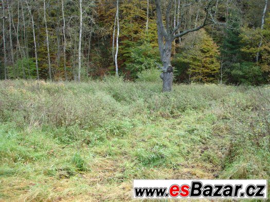 Pozemek - Pavlovice u Jestřebí – fotografie 3