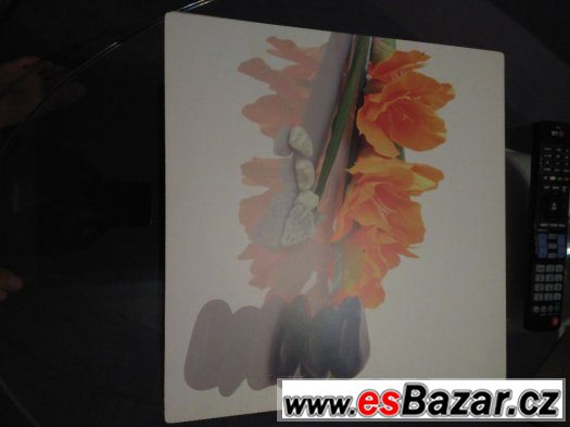 Obrázky nepoužité – fotografie 4
