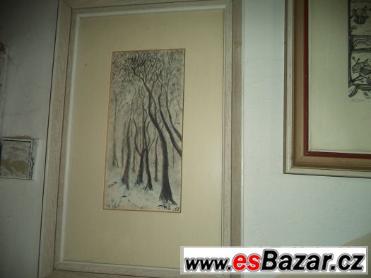 obrazky-drhane,hackovane - v ramech – fotografie 5