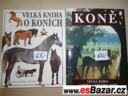 Prodám knihy,cd a hru na pc. – fotografie 4