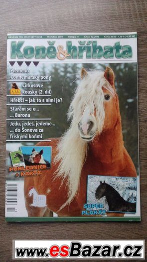 Prodej časopisů – fotografie 1