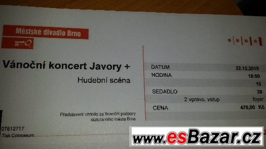 Vánoční koncert Javory + Javory beat, 2 vstupenky – fotografie 1