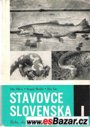 Stavovce Slovenska – fotografie 1