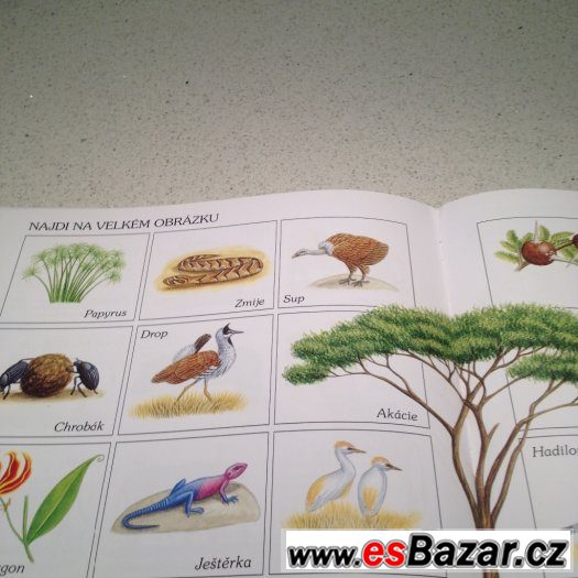 Zvířátka a hádanky- Savana – fotografie 4