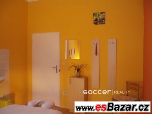 Pronájem nebytového prostoru  20 m2, Hradec Králové – Gočáro – fotografie 1