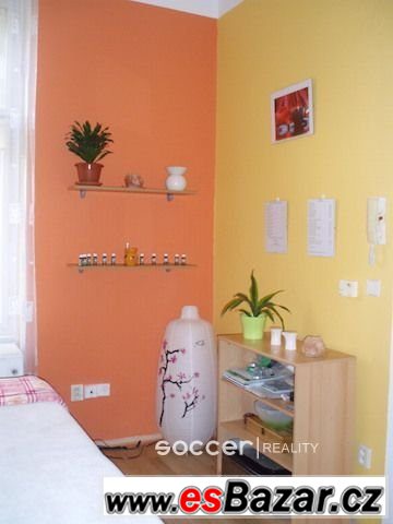 Pronájem nebytového prostoru  20 m2, Hradec Králové – Gočáro – fotografie 4