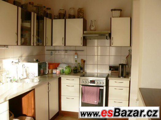 Rodinný dům v bloku se zahradou v obci Tasov, okr. Hodonín – fotografie 4