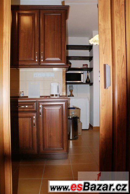 Exkluzivní pronájem bytu 2+1/Lodžie, 65m2, – fotografie 3