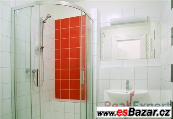 Pronájem bytu 1+kk, 43m2, Praha 2 - Vinohrady, ul. – fotografie 4