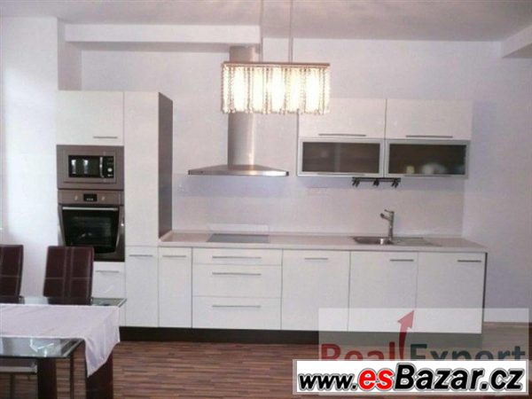 Pronájem bytu 2+1/Balkon, 94 m2, Praha 6 - Břevnov – fotografie 1