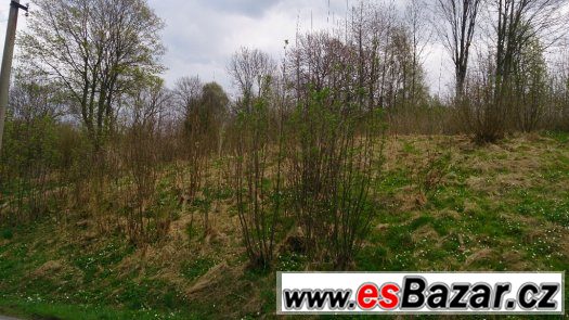 Pozemek Staré Křečany – fotografie 3