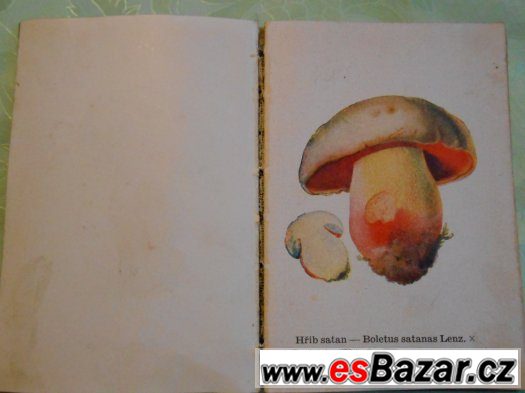 Atlas hub jedlých a jim podobných jedovatých-Zejbrlik O.1944 – fotografie 3