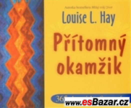 PŘÍTOMNÝ         OKAMŽIK – fotografie 1