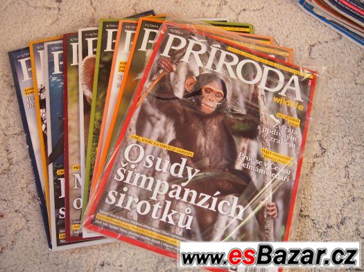 Příroda – fotografie 1