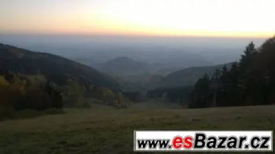 Nabízím práci v lese