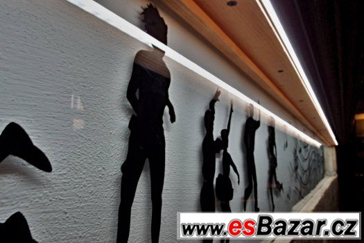 Pronajmu bar v Doksech u Máchova jezera – fotografie 5