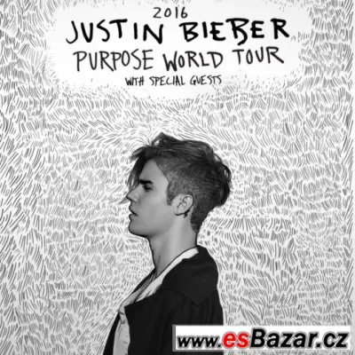JUSTIN BIEBER - nejlepší sezení (sektor 113)