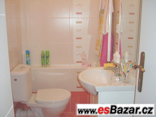 Byt 1+kk s balkonem,Mariánské lázně,rekonstrukce,vybavený – fotografie 4