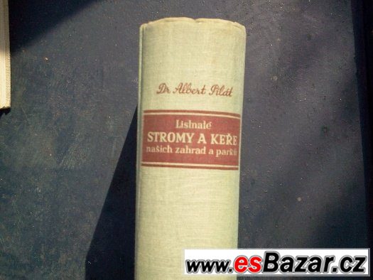 Listnaté stromy a keře našich zahrad a parků – fotografie 1