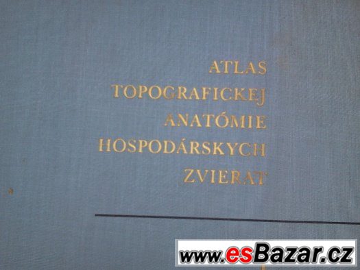 Atlas topografickej anatómie hospodarskych zvierat – fotografie 2
