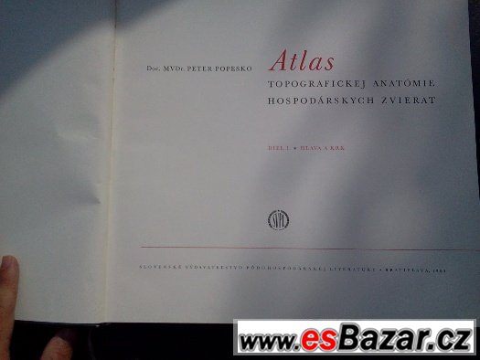 Atlas topografickej anatómie hospodarskych zvierat – fotografie 3