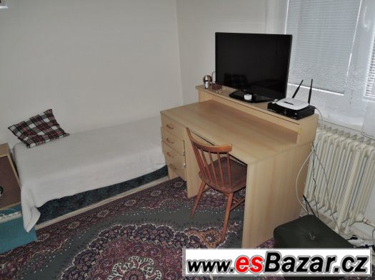 Pronájem Rodinný dům, 4+1, Nový Jičín, Loučka – fotografie 5